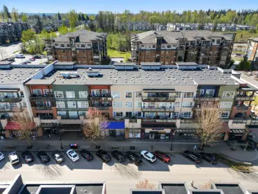 214 20728 Willoughby Town Centre Drive, Langley, BC, Langley — Apartment/Condo for sale