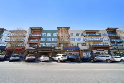 214 20728 Willoughby Town Centre Drive, Langley, BC, Langley — Apartment/Condo for sale