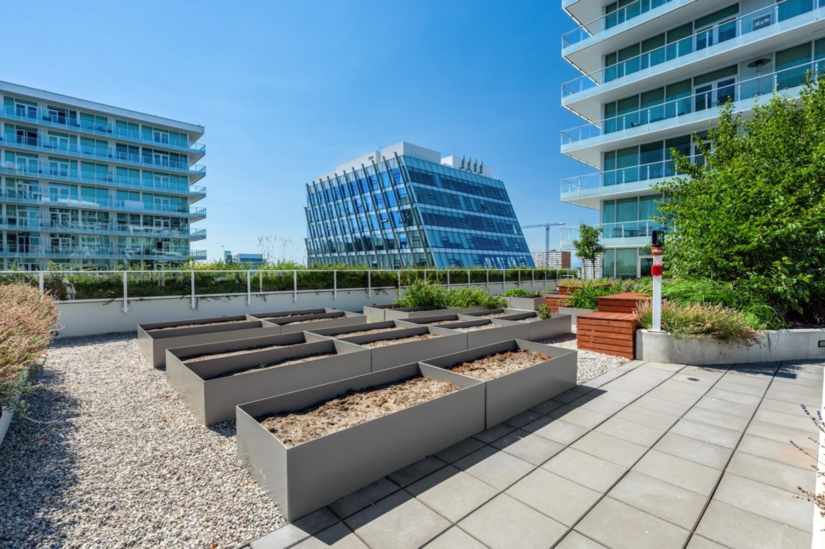 Aerial View of 320 6328 No. 3 Road, Richmond, BC