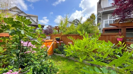 Swimming Pool Photo of 152 16177 83 Avenue, Surrey, BC