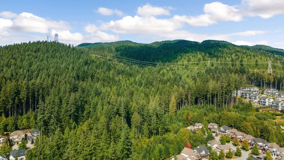 Dining Area Photo of 149 Sycamore Drive, Port Moody, BC