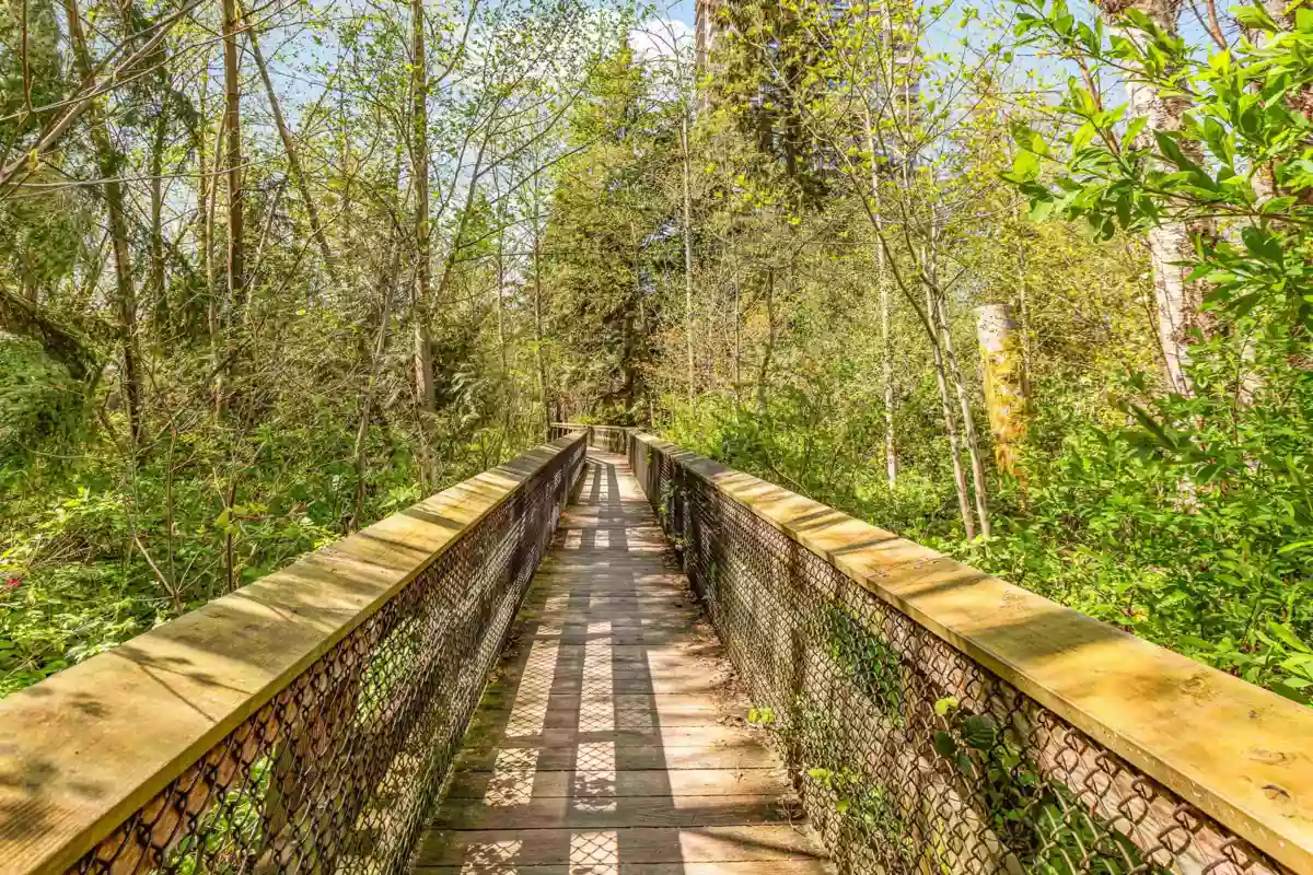 Neighborhood Park Photo Near 112 101 Morrissey Road, Port Moody, BC