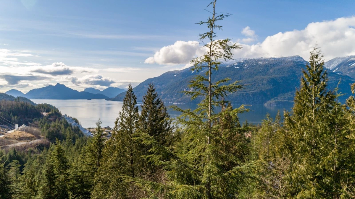 Pantry Photo of 1173 Copper Drive, Britannia Beach, BC