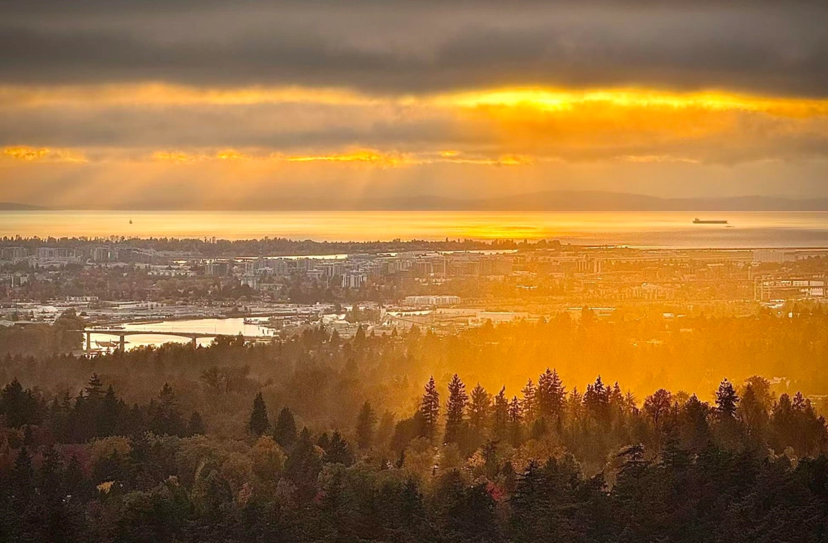 Outdoor Kitchen Photo of 3206 6383 Mckay Avenue, Burnaby, BC