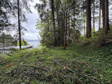 Kitchen Island Photo of LOT 10 Elphinstone Avenue, Gibsons, BC