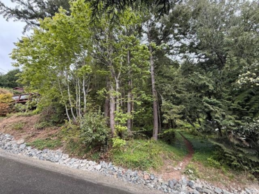 Kitchen Photo of LOT 10 Elphinstone Avenue, Gibsons, BC