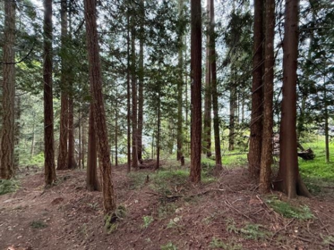 Pantry Photo of LOT 10 Elphinstone Avenue, Gibsons, BC