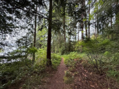 LOT 10 Elphinstone Avenue, Gibsons, BC