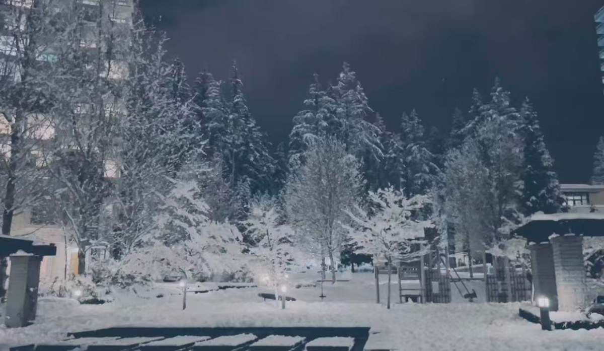 Bedroom 2 Photo of 110 5728 Berton Avenue, Vancouver, BC