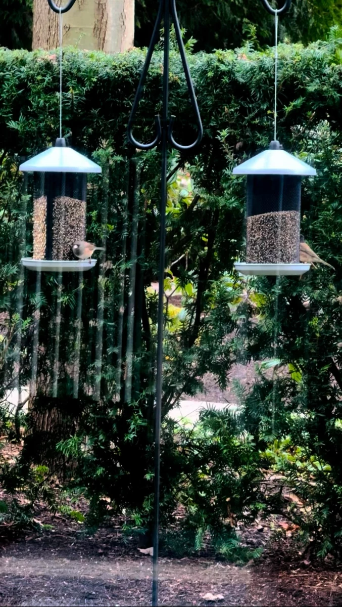 Dining Area Photo of 110 5728 Berton Avenue, Vancouver, BC