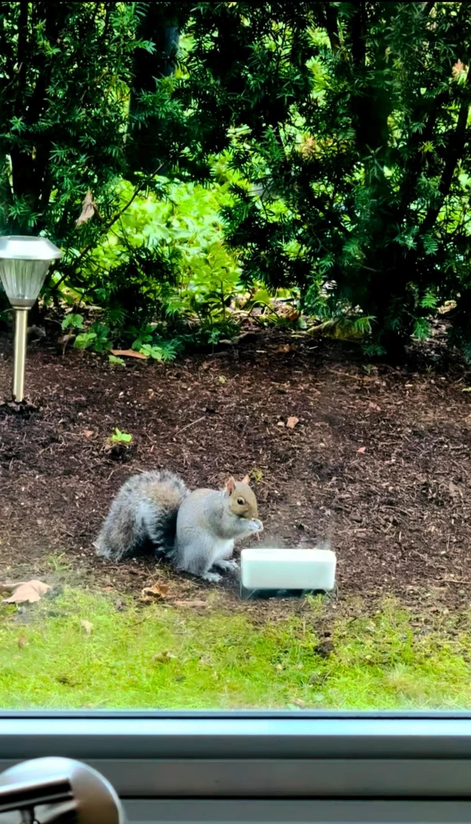 Kitchen Photo of 110 5728 Berton Avenue, Vancouver, BC