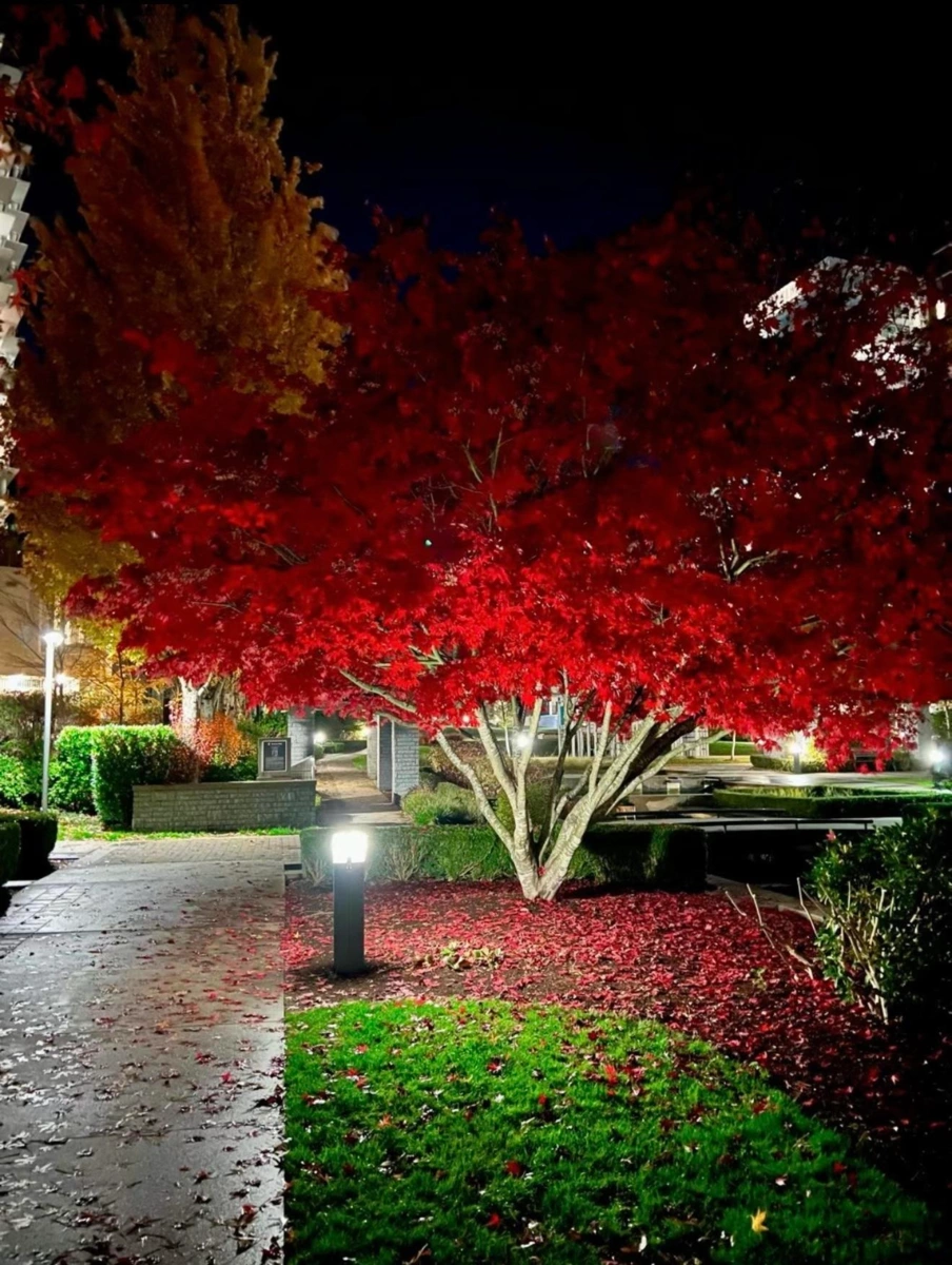 Primary Bedroom Photo of 110 5728 Berton Avenue, Vancouver, BC