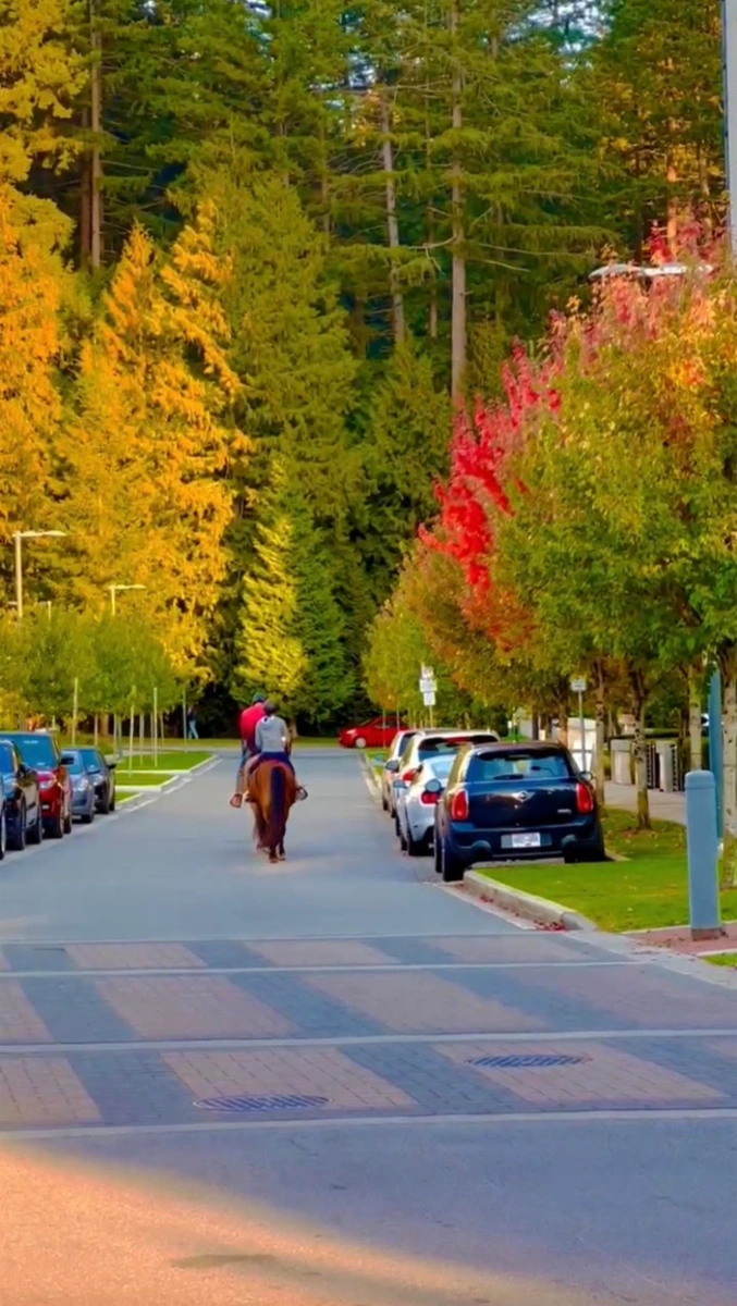 Walk-In Closet Photo of 110 5728 Berton Avenue, Vancouver, BC