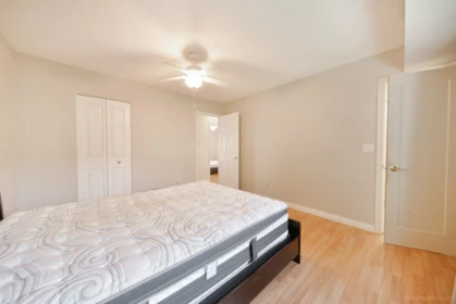 Basement Recreation Room Photo of 5003 205 Street, Langley, BC
