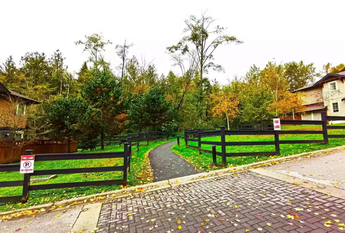 Staircase Photo of 74 11305 240 Street, Maple Ridge, BC