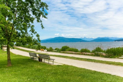 Outdoor Patio Photo of 3086 W 2nd Avenue, Vancouver, BC