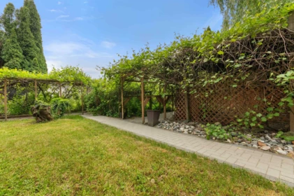 Backyard Photo of 45282 South Sumas Road, Chilliwack, BC