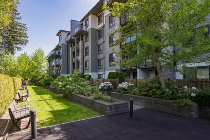 Garden / Landscaping Photo of 112 15351 101 Avenue, Surrey, BC