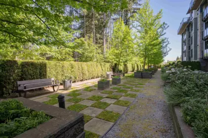 Outdoor Kitchen Photo of 112 15351 101 Avenue, Surrey, BC
