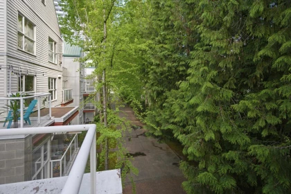 Backyard Photo of D301 9838 Whalley Boulevard, Surrey, BC