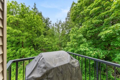 Powder Room Photo of 20 33321 George Ferguson Way, Abbotsford, BC