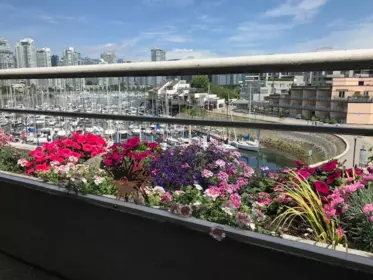 313 674 Leg In Boot Square, Vancouver, BC, Vancouver — Apartment/Condo for sale