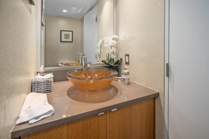 Hot Tub / Spa Photo of 313 674 Leg In Boot Square, Vancouver, BC