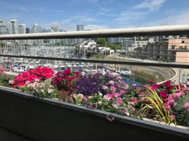 Outdoor Deck Photo of 313 674 Leg In Boot Square, Vancouver, BC