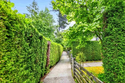 Front Yard Photo of 58 15405 31 Avenue, Surrey, BC