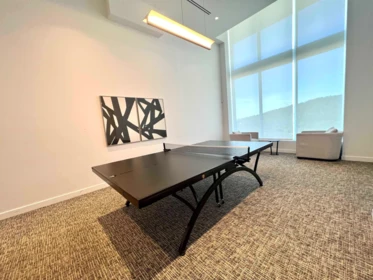 Basement Recreation Room Photo of 3002 567 Clarke Road, Coquitlam, BC