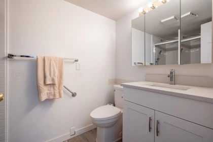 Powder Room Photo of 219 33535 King Road, Abbotsford, BC
