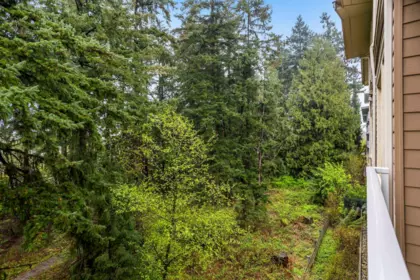 Backyard Photo of 304 8360 Delsom Way, Delta, BC