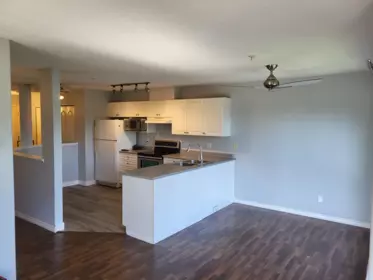 505 22230 North Avenue, Maple Ridge, BC, Maple Ridge — Apartment/Condo for sale