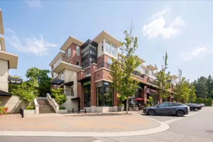 205 2940 King George Boulevard, Surrey, BC, Surrey — Apartment/Condo for sale