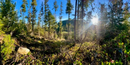 LOT 7 13685 Lee Road, Garden Bay, BC, Garden Bay — Land for sale