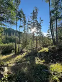 LOT 7 13685 Lee Road, Garden Bay, BC, Pender Harbour Egmont —  bed land for sale