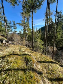 Kitchen Island Photo of LOT 7 13685 Lee Road, Garden Bay, BC