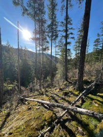 Pantry Photo of LOT 7 13685 Lee Road, Garden Bay, BC