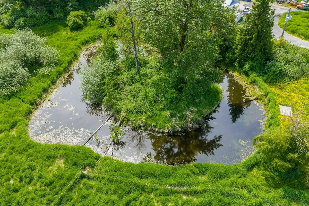 Kitchen Photo of 1550 227 Street, Langley, BC