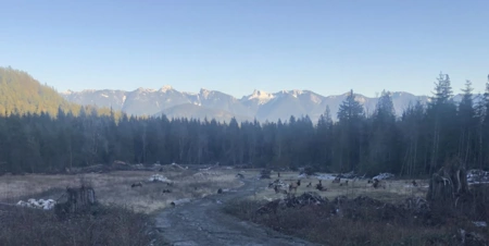 Guest Bathroom Photo of Lot D Elphinstone Crossing, Gibsons, BC