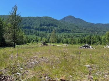 Living Room Photo of Lot D Elphinstone Crossing, Gibsons, BC