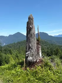 Office / Den Photo of Lot D Elphinstone Crossing, Gibsons, BC
