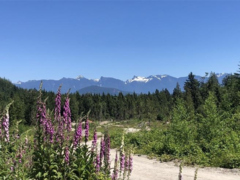 Lot D Elphinstone Crossing, Gibsons, BC