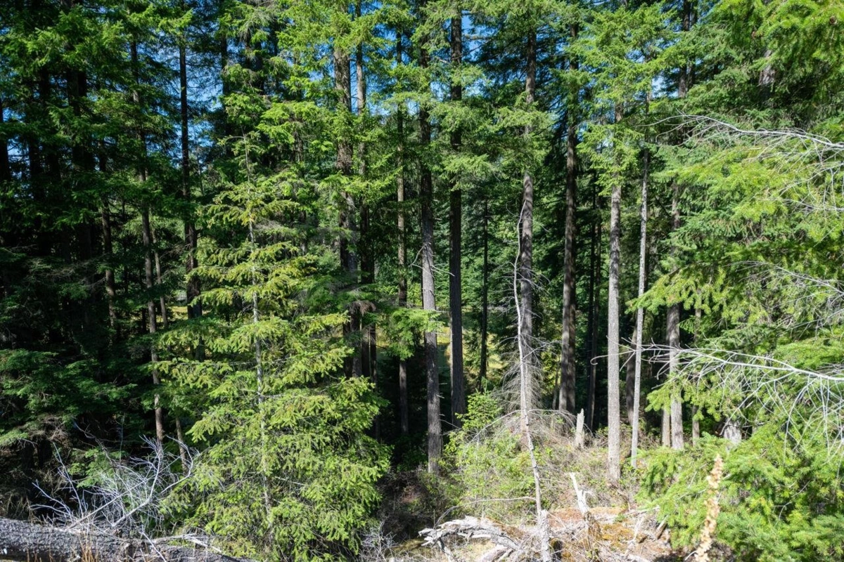 Hot Tub / Spa Photo of 360 Salal Road, Bowen Island, BC