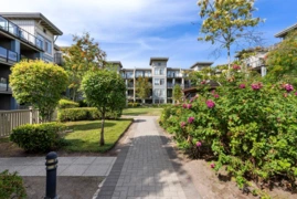 221 15380 102a Avenue, Surrey, BC