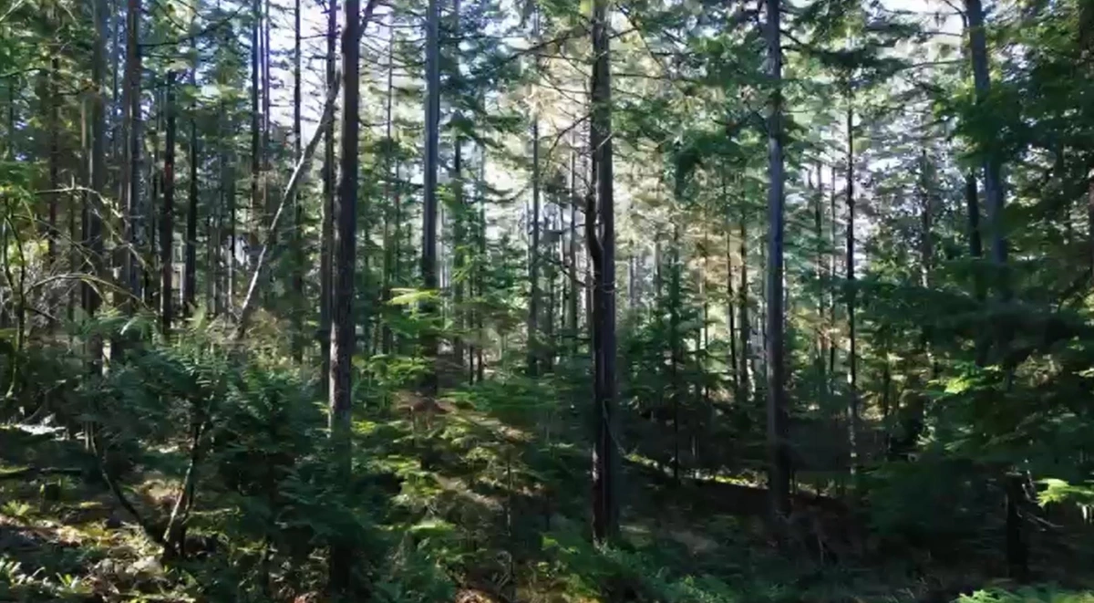 Breakfast Nook Photo of 2060 Cape Drive, Bowen Island, BC