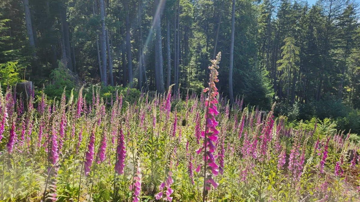 Exterior Front Photo of 2060 Cape Drive, Bowen Island, BC