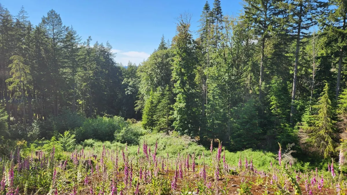 Exterior Rear Photo of 2060 Cape Drive, Bowen Island, BC