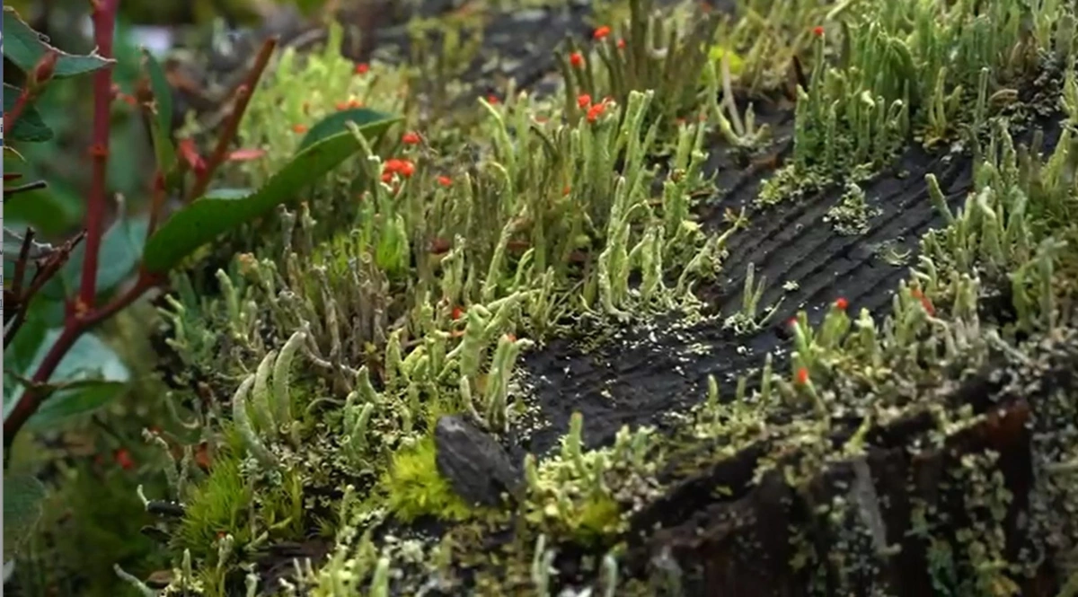 Kitchen Island Photo of 2060 Cape Drive, Bowen Island, BC