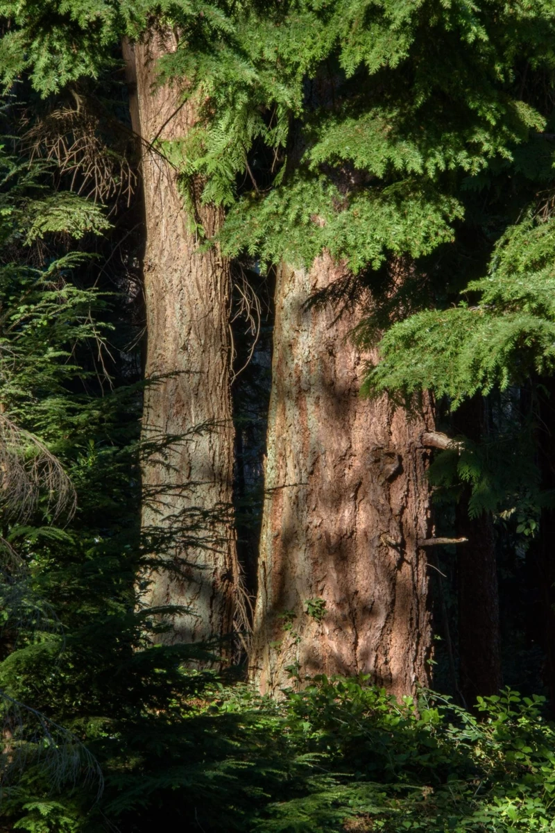 Office / Den Photo of 2060 Cape Drive, Bowen Island, BC